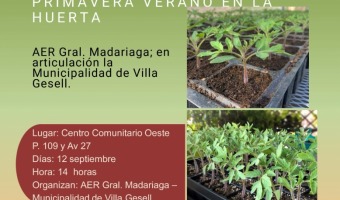 TALLER DE ALMCIGOS EN EL CENTRO COMUNITARIO OESTE